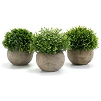 GoMaihe Plantas Artificiales Plásticas de Maceta- 3Piezas- Planta Artificial Decorativa- Adecuado para El Hogar Oficina…